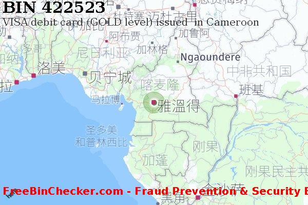 422523 VISA debit Cameroon CM BIN列表