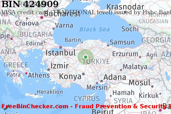 424909 VISA credit Turkey TR BIN List