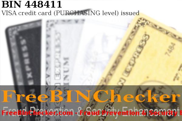 448411 VISA credit   BIN-Liste