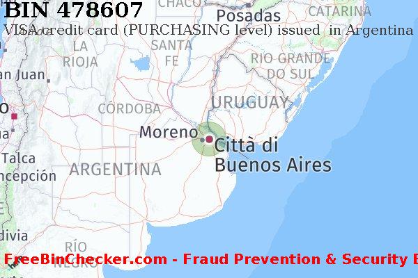 478607 VISA credit Argentina AR Lista BIN