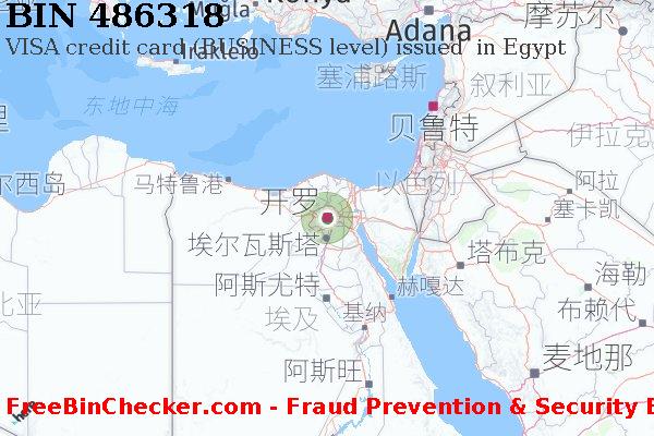 486318 VISA credit Egypt EG BIN列表