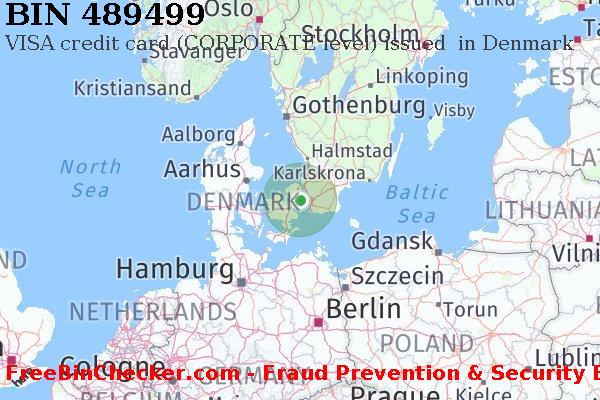 489499 VISA credit Denmark DK BIN List