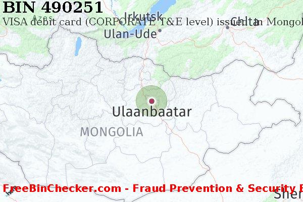 490251 VISA debit Mongolia MN BIN List
